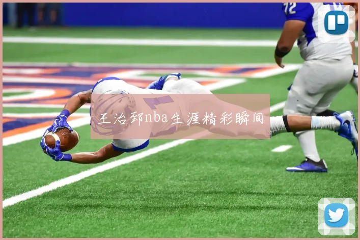 王治郅nba生涯精彩瞬间